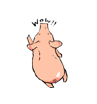 Enjoy！！Piggy！！（個別スタンプ：40）