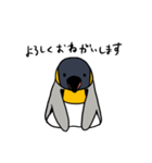 オウサマペンギン2（個別スタンプ：2）