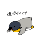 オウサマペンギン2（個別スタンプ：17）