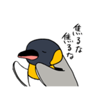 オウサマペンギン2（個別スタンプ：18）