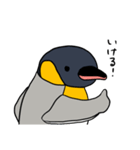 オウサマペンギン2（個別スタンプ：19）