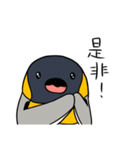 オウサマペンギン2（個別スタンプ：31）
