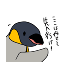 オウサマペンギン2（個別スタンプ：36）