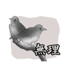 白黒の鳥たち（日本語）（個別スタンプ：2）