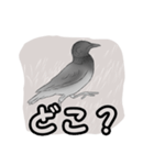 白黒の鳥たち（日本語）（個別スタンプ：7）