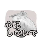 白黒の鳥たち（日本語）（個別スタンプ：11）