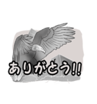 白黒の鳥たち（日本語）（個別スタンプ：18）