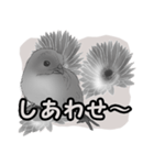 白黒の鳥たち（日本語）（個別スタンプ：20）