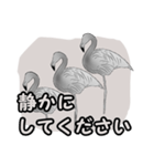 白黒の鳥たち（日本語）（個別スタンプ：25）