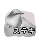 白黒の鳥たち（日本語）（個別スタンプ：32）