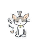 A cat is precipitate（個別スタンプ：5）