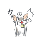 A cat is precipitate（個別スタンプ：9）