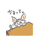 A cat is precipitate（個別スタンプ：10）