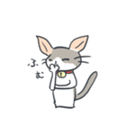 A cat is precipitate（個別スタンプ：17）