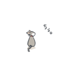 A cat is precipitate（個別スタンプ：28）