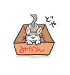 A cat is precipitate（個別スタンプ：30）