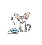 A cat is precipitate（個別スタンプ：31）