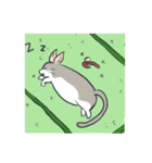 A cat is precipitate（個別スタンプ：33）