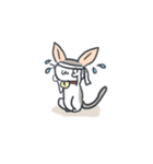 A cat is precipitate（個別スタンプ：37）