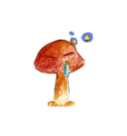 the little mushroom（個別スタンプ：19）