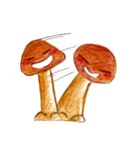 the little mushroom（個別スタンプ：28）