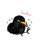 黒い鳥「ピータン」（個別スタンプ：10）