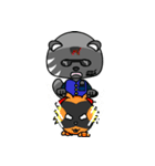 Cat in short（個別スタンプ：40）