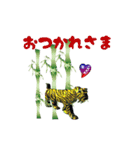 3D Dinosaur Sticker（個別スタンプ：33）