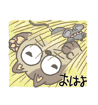 ネコ語 / ノラネコ（個別スタンプ：1）