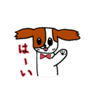 パピヨン犬 ゆるパール♪（個別スタンプ：3）