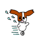 パピヨン犬 ゆるパール♪（個別スタンプ：7）