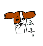 パピヨン犬 ゆるパール♪（個別スタンプ：8）