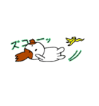 パピヨン犬 ゆるパール♪（個別スタンプ：13）