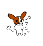 パピヨン犬 ゆるパール♪（個別スタンプ：31）