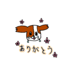 パピヨン犬 ゆるパール♪（個別スタンプ：32）