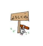 パピヨン犬 ゆるパール♪（個別スタンプ：34）