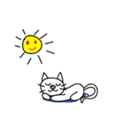 僕の家族、皆は豚です。猫豚の日常（個別スタンプ：28）