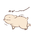 キンクマのもた（個別スタンプ：15）