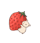 キンクマのもた（個別スタンプ：18）