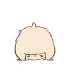 キンクマのもた（個別スタンプ：20）