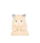 キンクマのもた（個別スタンプ：28）