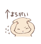 キンクマのもた（個別スタンプ：34）