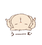 キンクマのもた（個別スタンプ：37）