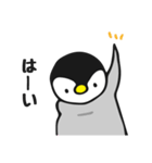 しろくま＆ペンギン1（個別スタンプ：5）
