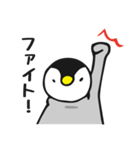 しろくま＆ペンギン1（個別スタンプ：19）