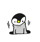しろくま＆ペンギン1（個別スタンプ：30）