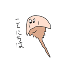 カブトガニさん（個別スタンプ：5）