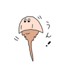 カブトガニさん（個別スタンプ：13）