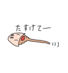 カブトガニさん（個別スタンプ：35）