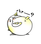 うざインコ（個別スタンプ：27）
